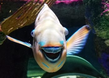 How humour can increase your bottom line